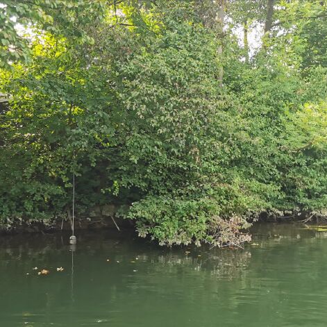Île avec deux maisonnettes - 2 pièces - 60 m²