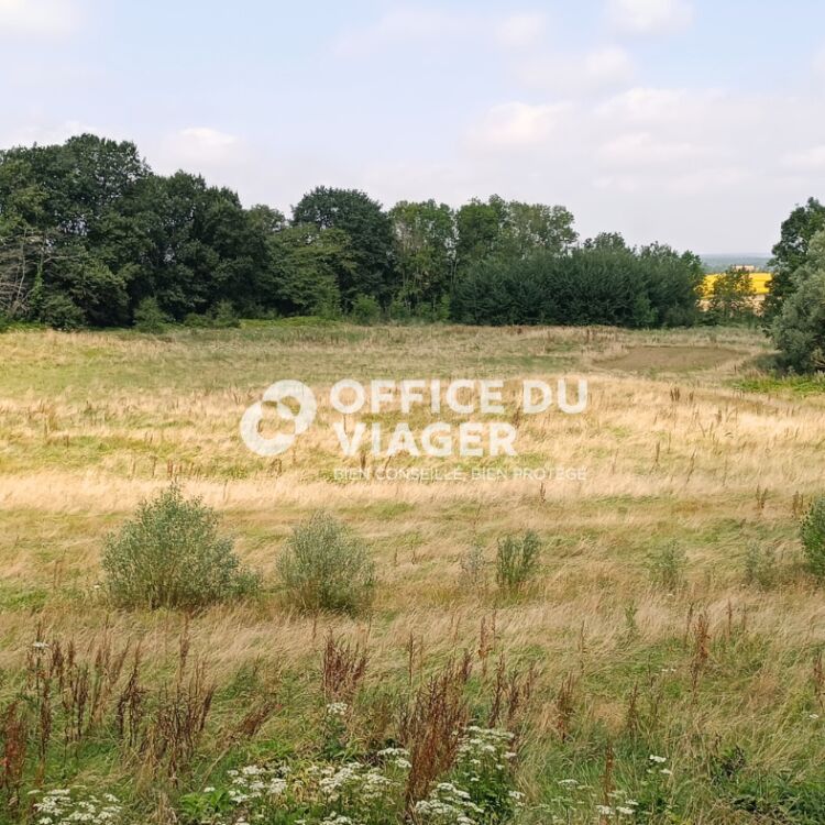 Maison - 7 pièces - 254 m²
