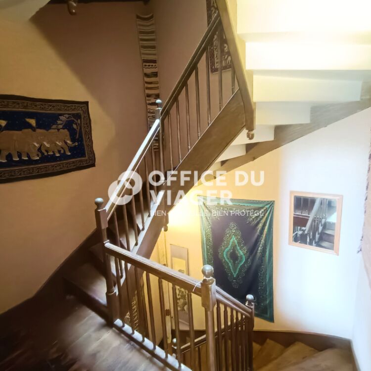 Maison - 7 pièces -  299,17 m²
