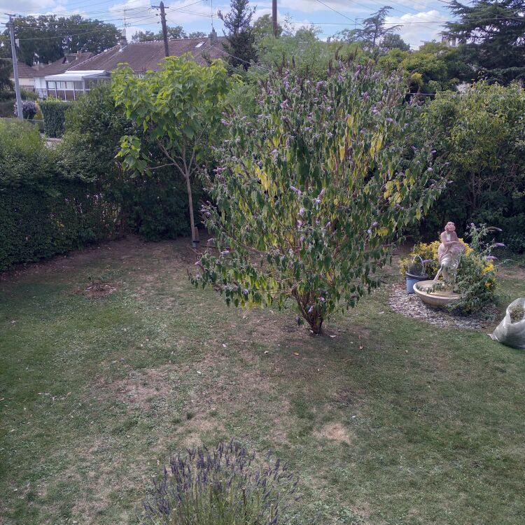 Maison - 3 pièces - 62 m²