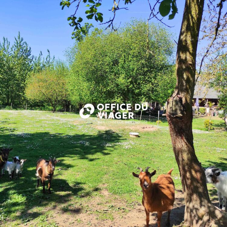 Maison - 3 pièces - 70 m²