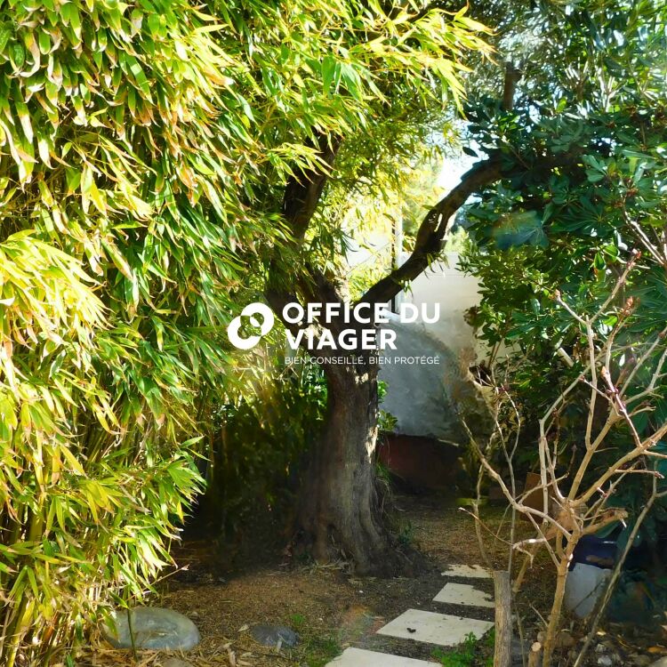 Maison - 5 pièces - 75 m²