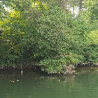 Île avec deux maisonnettes - 2 pièces - 60 m²