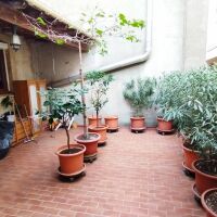 Immeuble - 2 commerces - 7 appartements - 460 m²