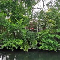 Île avec deux maisonnettes - 2 pièces - 60 m²