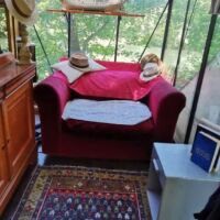 Île avec deux maisonnettes - 2 pièces - 60 m²