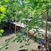 Île avec deux maisonnettes - 2 pièces - 60 m²