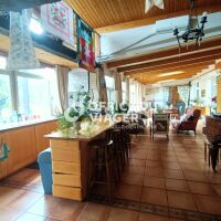 Maison - 7 pièces -  299,17 m²