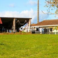 Maison - 5 pièces - 131 m²