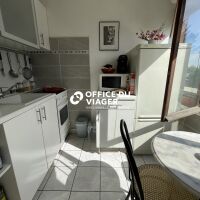 Appartement - 1 pièce - 29 m²