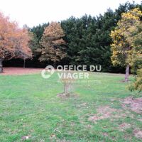 Maison - 7 pièces - 400 m²
