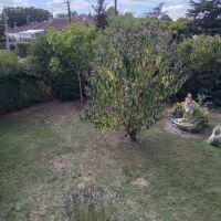 Maison - 3 pièces - 62 m²