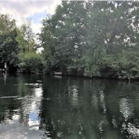 Île avec deux maisonnettes - 2 pièces - 60 m²