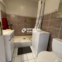 Appartement - 1 pièce - 29 m²